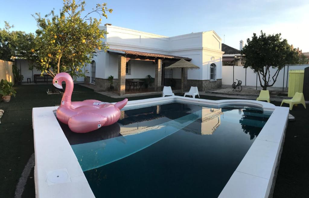 桑卢卡尔-德巴拉梅达Casa con Piscina en Sanlucar de Barrameda的游泳池里有一个粉红色的火烈鸟