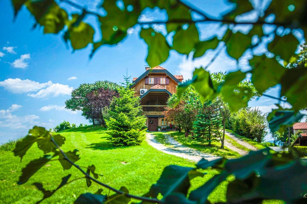 MirkovecVilla Botanica的山丘上绿草树木的房子