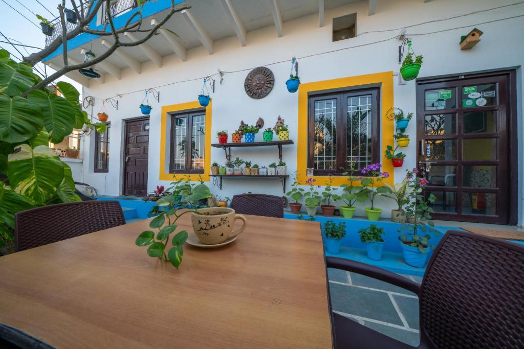珀勒德布尔Iora Guest House的一间设有盆栽桌子的用餐室