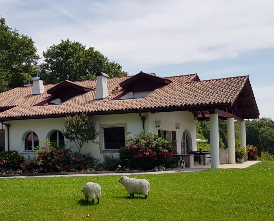 阿尔康盖Maison d hotes Lapitxuri的两只羊站在房子前面的草上