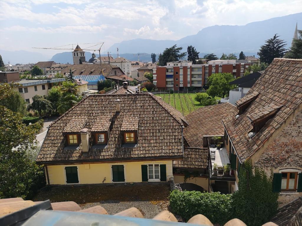 博尔扎诺Apartment Villa Schmid的享有城镇空中美景,设有屋顶