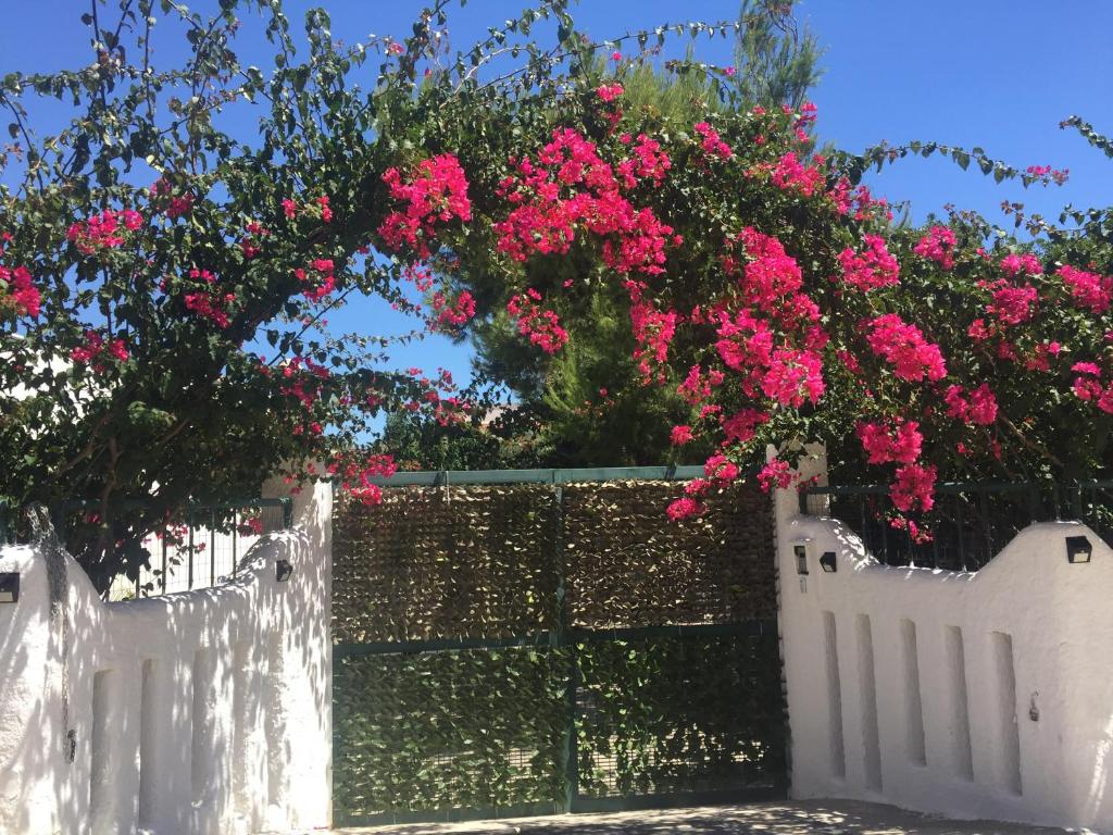 马鲁焦Casa Stella Marina的白色的围栏,上面有粉红色的花朵