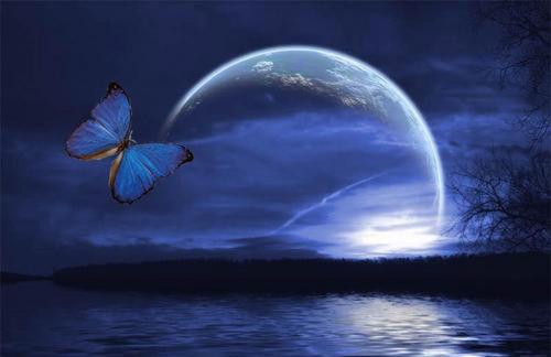 帕德隆Volvoreta的蓝月亮前飞的蝴蝶