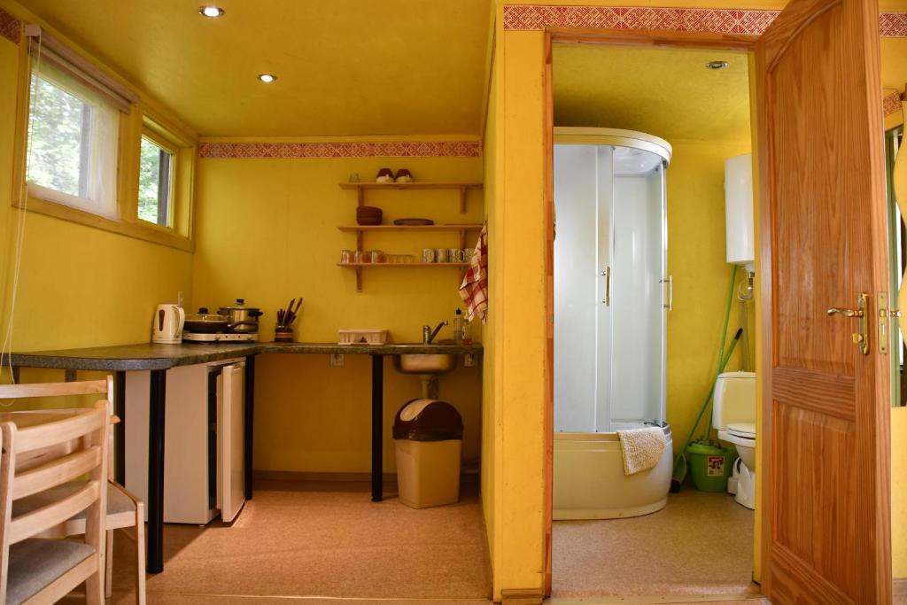 BurtniekiKempings Ezerpriedes的黄色的厨房设有水槽和浴缸