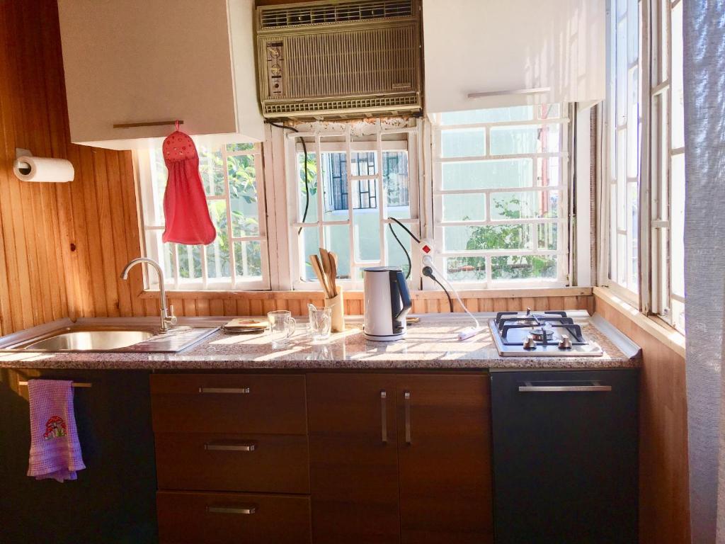 卡瓦拉提Green house in Gonio economy class的厨房配有水槽、炉灶和窗户。