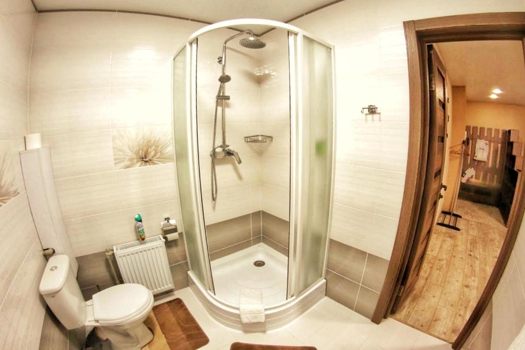 切尔尼戈夫Комфортні апартаменти в Чернігові的带淋浴和卫生间的浴室
