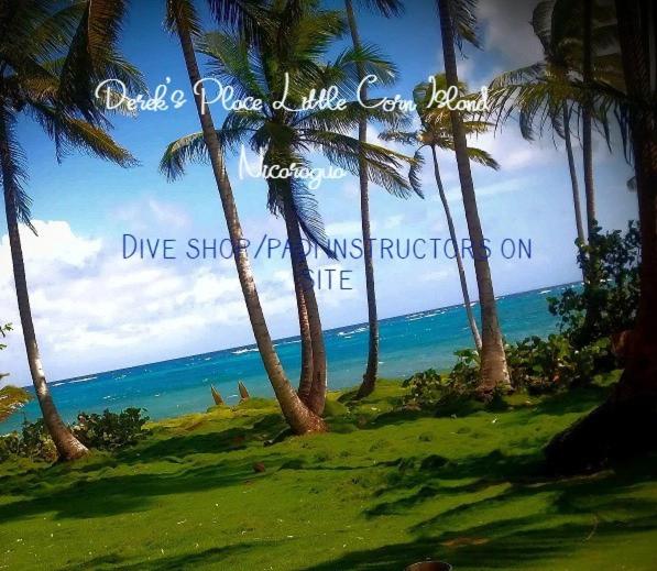 小玉米岛Derek's Place Eco-Lodge的棕榈树海滩和海洋的照片