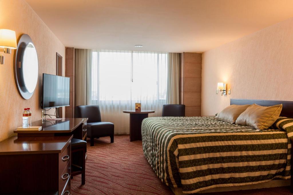 阿瓜斯卡连特斯阿瓜斯卡连特斯瑞里商场酒店的酒店客房配有一张床、一张书桌和一台电视。
