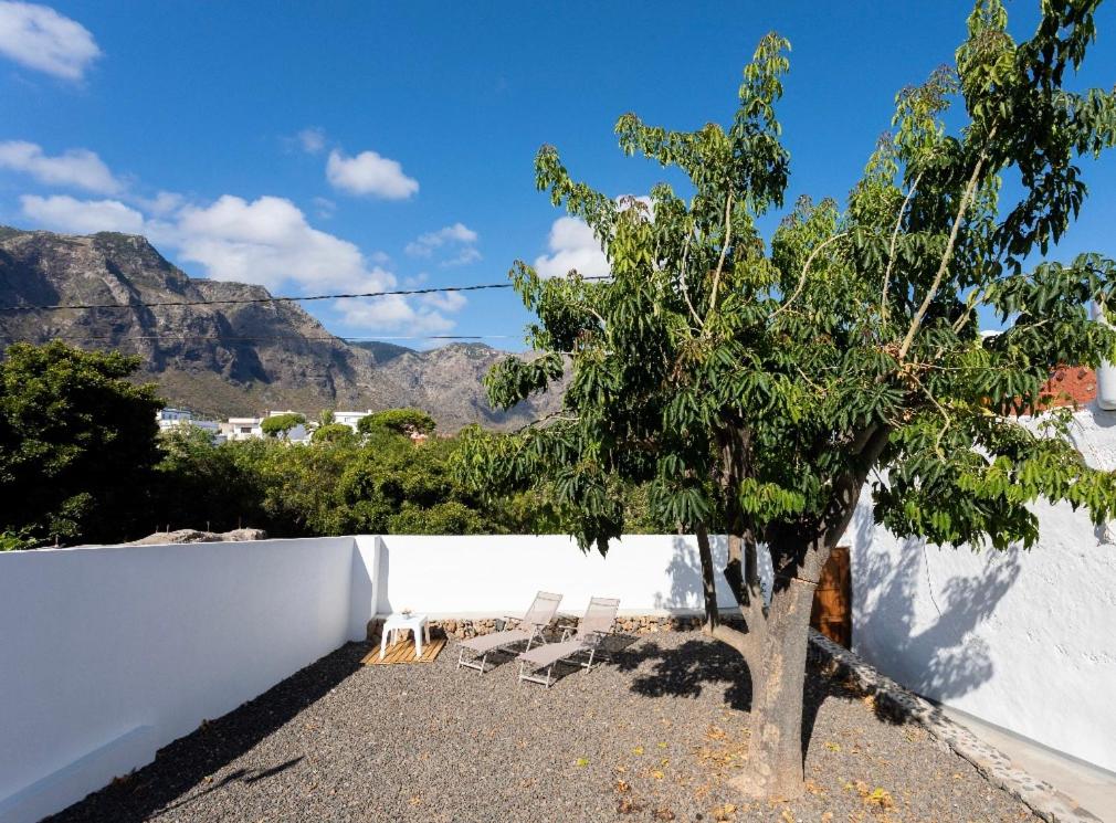 布埃纳维斯塔德尔诺尔特La Casita de Juana的一组椅子和一棵树,旁边是一堵墙