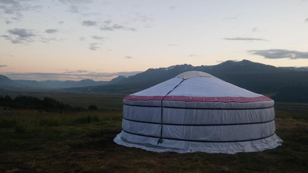 阿克雷里Iceland yurt的坐在田野顶上的大型圆顶帐篷