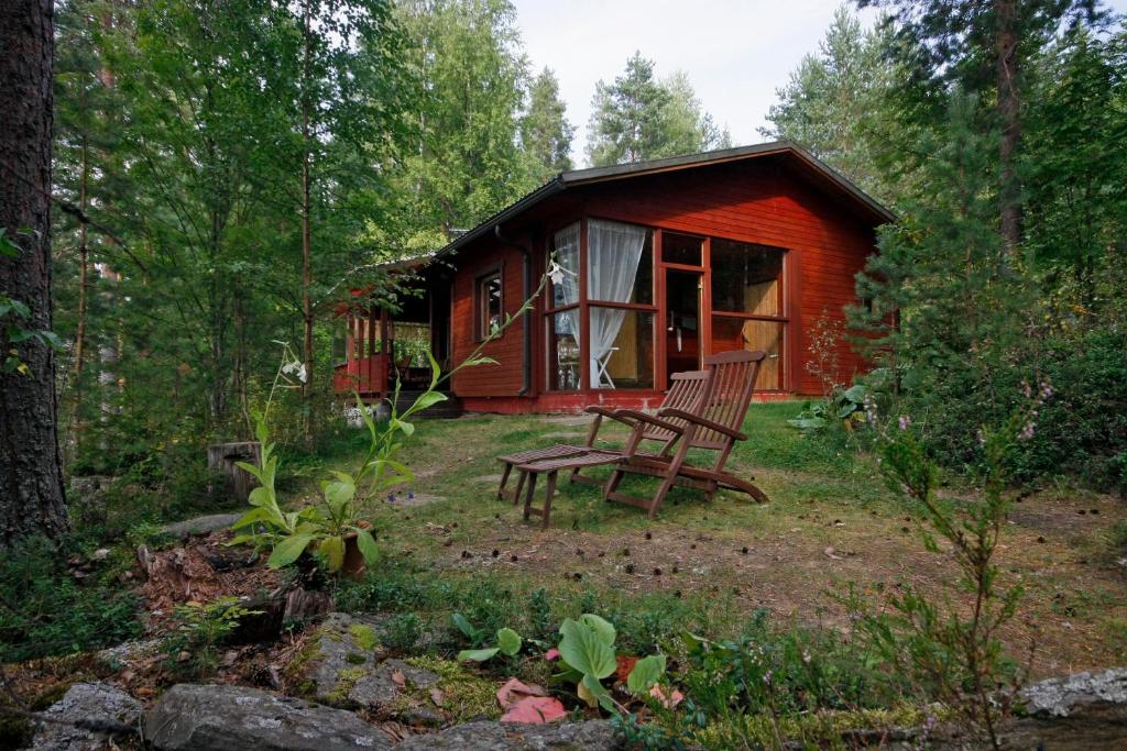 哈提图维特山林小屋外面的花园