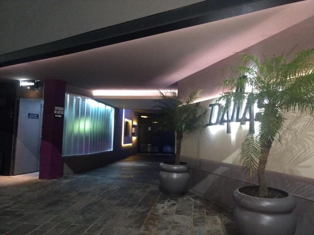 布宜诺斯艾利斯Dallas Hotel -Motel-的建筑中两棵棕榈树的走廊