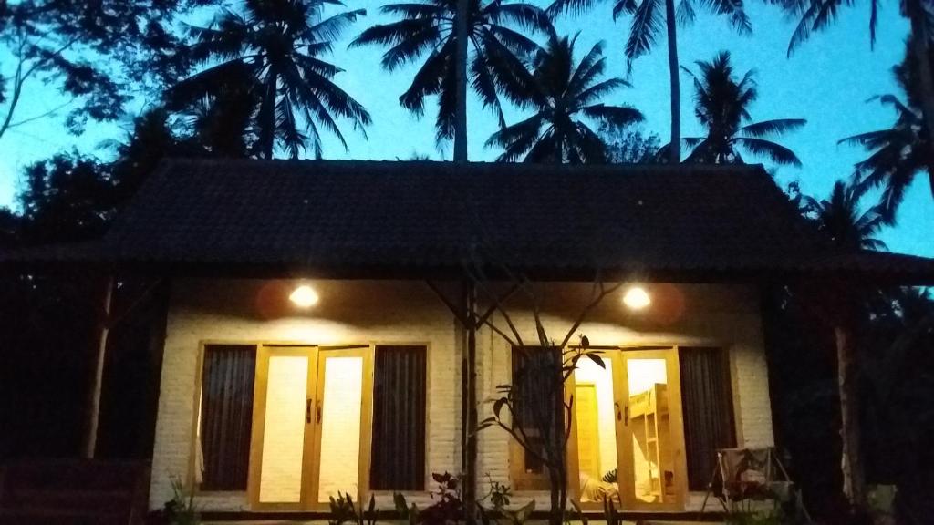 普卢坎Jungle House - surf & stay的一间晚上种有棕榈树的小房子