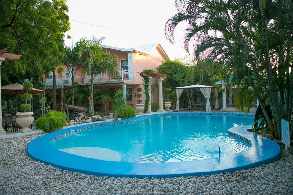 太子港棕榈酒店的一座大蓝色游泳池,位于房子前