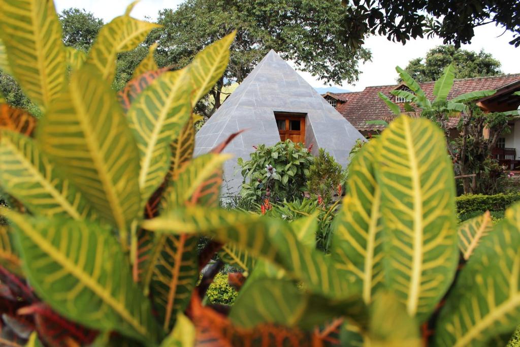 比尔卡班巴Hostería Paraíso的花园中带三角形窗户的房子