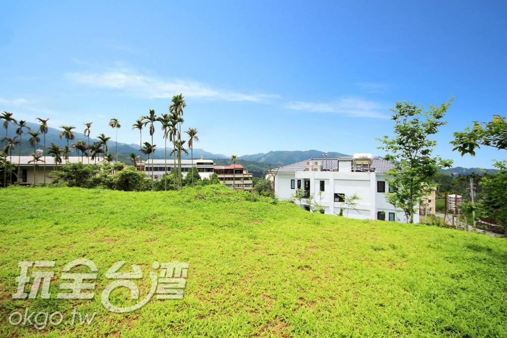 鹿谷乡豆田町的一座绿色的山丘,上面有建筑和棕榈树