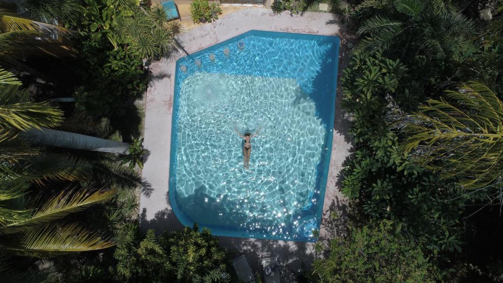 坎昆Casa Kin33的游泳池的顶部景色,游泳池里的人
