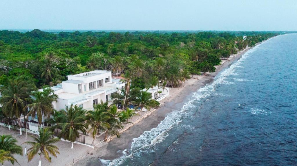 托卢Hotel Casa Danae的棕榈树海滩的空中景致