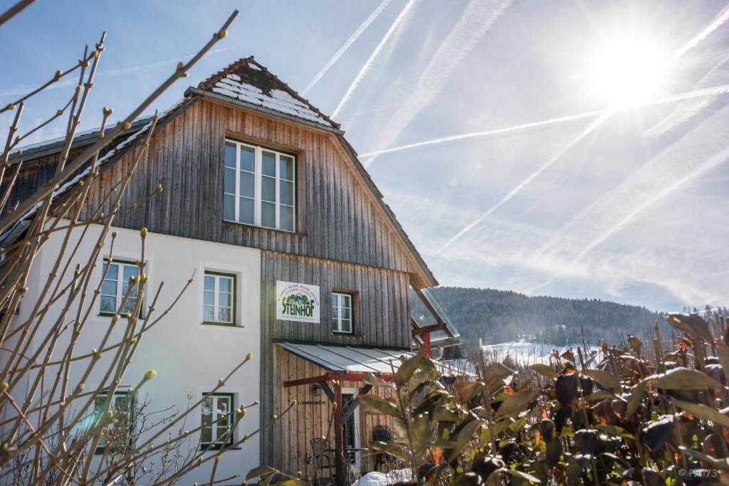 穆劳附近圣洛伦岑Haus Steinhof的天空中阳光的木制建筑
