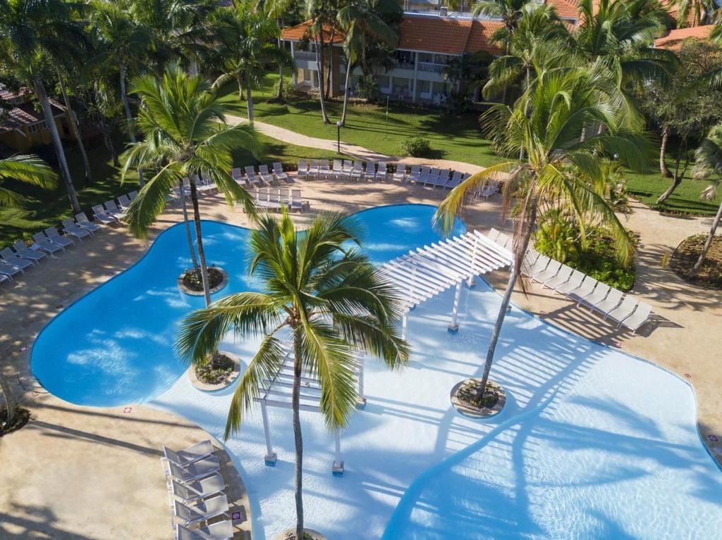 拉斯加勒拉斯bungalow 3116 vue sur piscine的享有棕榈树和椅子的游泳池的顶部景致