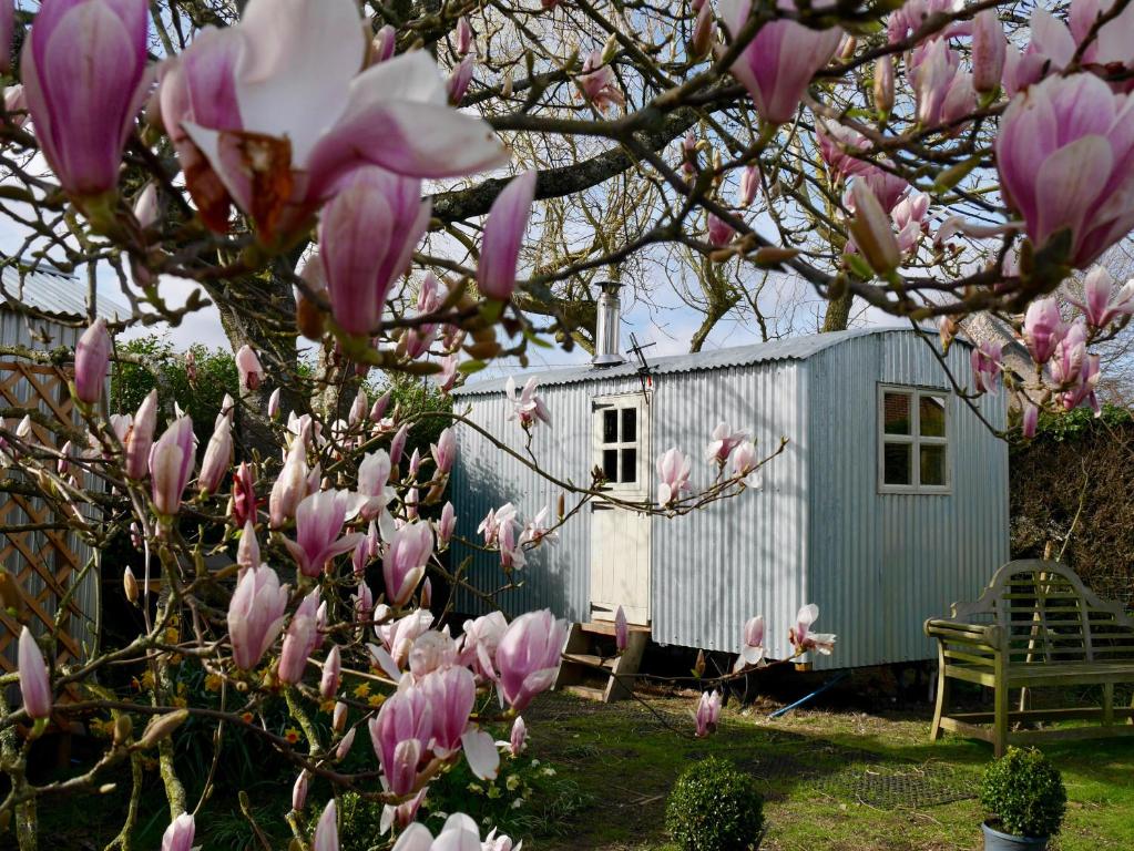 博利厄The Wayside Shepherd Hut的树屋前有粉红色花朵的树