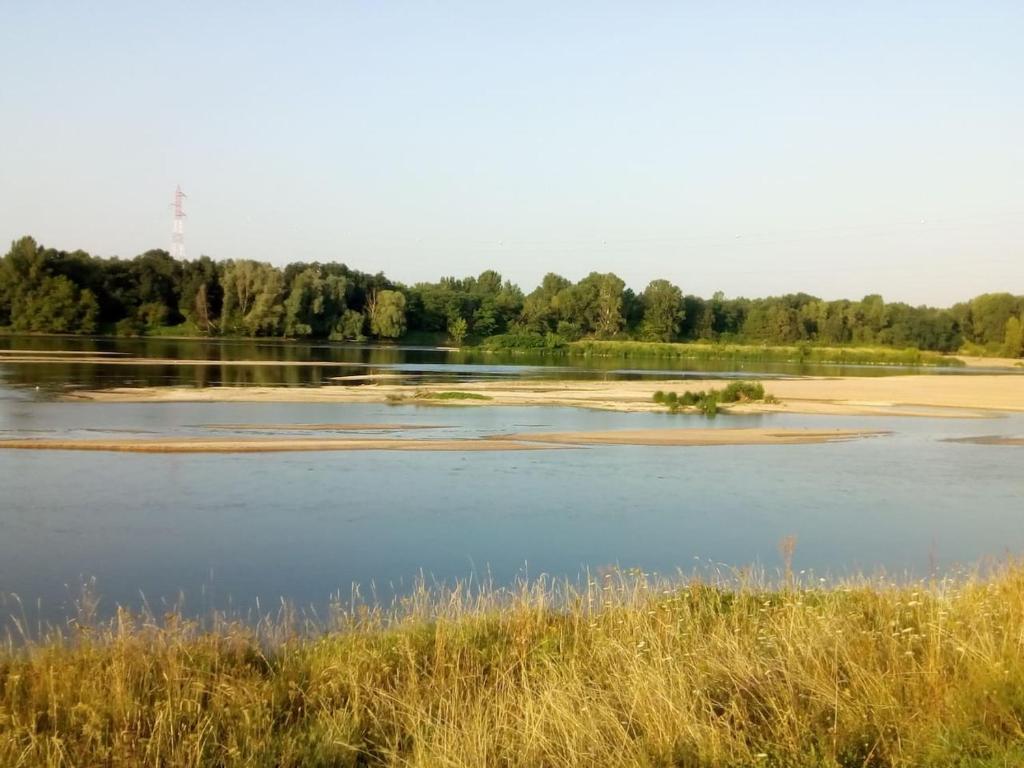 圣让·德·布赖Pour visiter ou travailler dans le LOIRET的一大片水,有树在背后