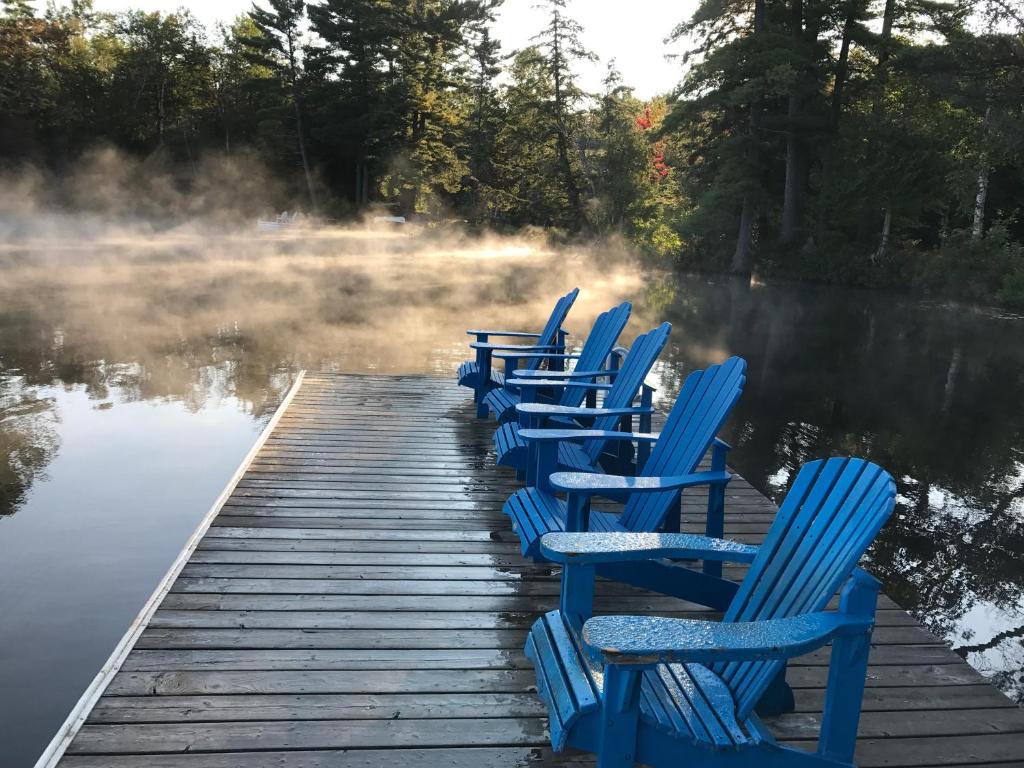 亨茨维尔Walker Lake Resort的坐在水面上一排蓝色椅子