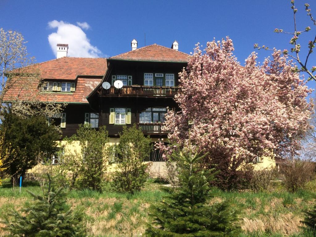 克尼特尔费尔德Zeilinger Villa的前面有一棵树的老房子