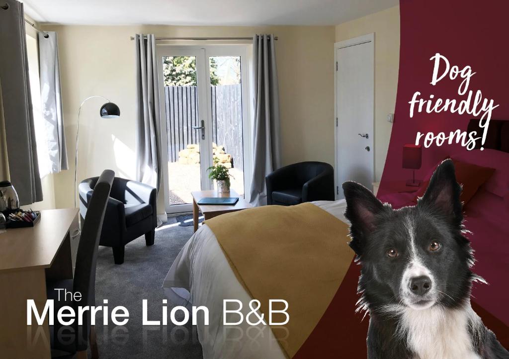 绍瑟姆The Merrie Lion的一只狗站在房间床边