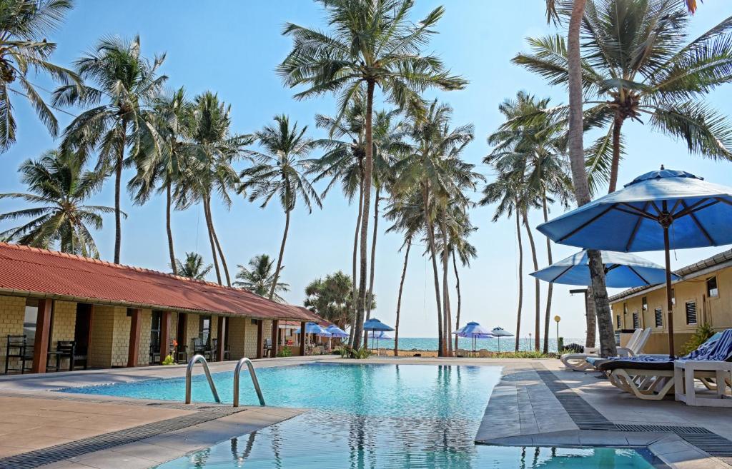 马拉维拉Amagi Beach – Secluded Slice of Paradise的一座拥有棕榈树和蓝伞的游泳池