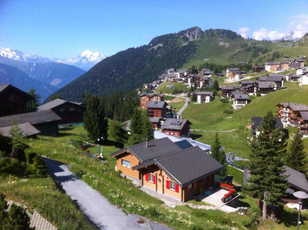 利德阿尔卑斯Chalet Enzian的山丘上的村庄,以山丘为背景