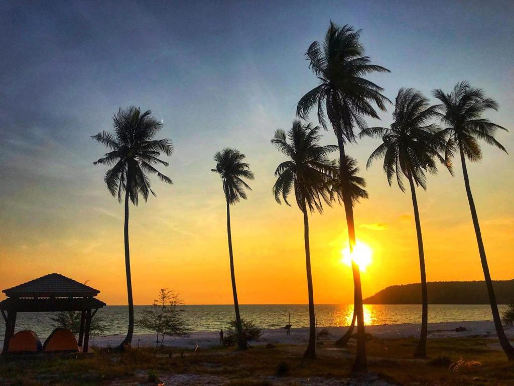 瓜隆岛Soksan Natura Beach的日落时分在海滩上种植的棕榈树