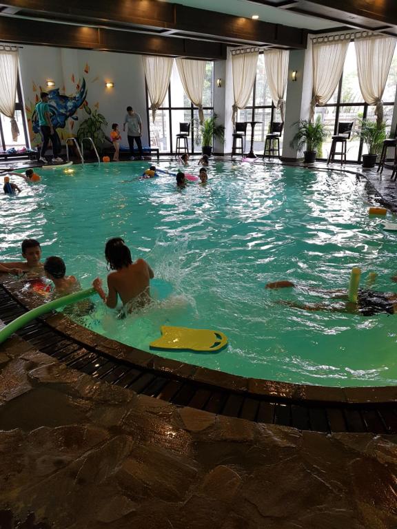 皮亚特拉-尼亚姆茨卡萨德鲁每图雷旅馆的一群人在游泳池游泳