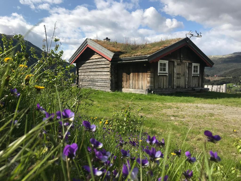 霍夫灵恩Fagerli Fjellgård的一座带草屋顶和紫色花卉的古老小屋