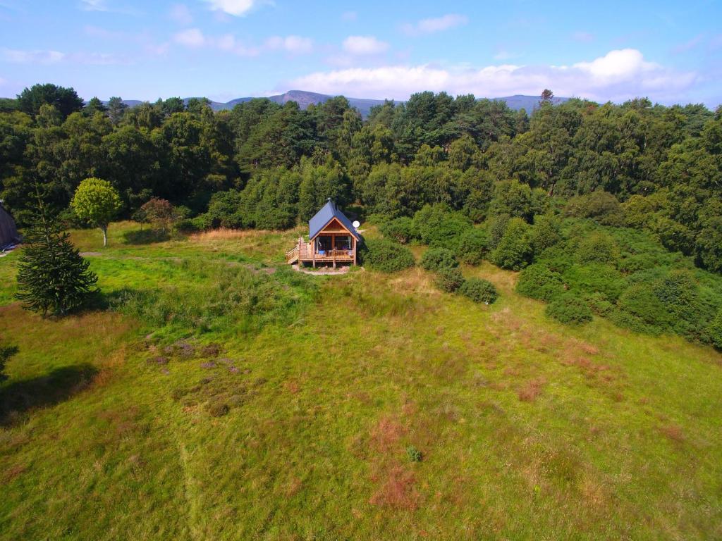 戈尔斯皮Birdwatcher's Cabin的享有草地山上小屋的顶部景色