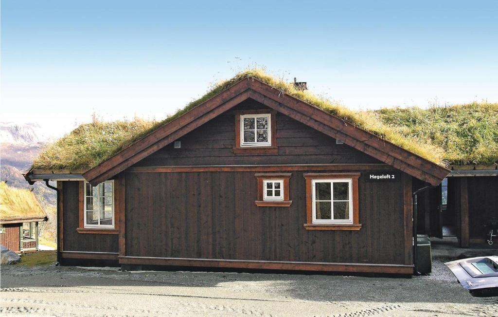 海姆瑟达尔Cozy Home In Hemsedal With Wifi的一座带2扇窗户的草屋顶建筑