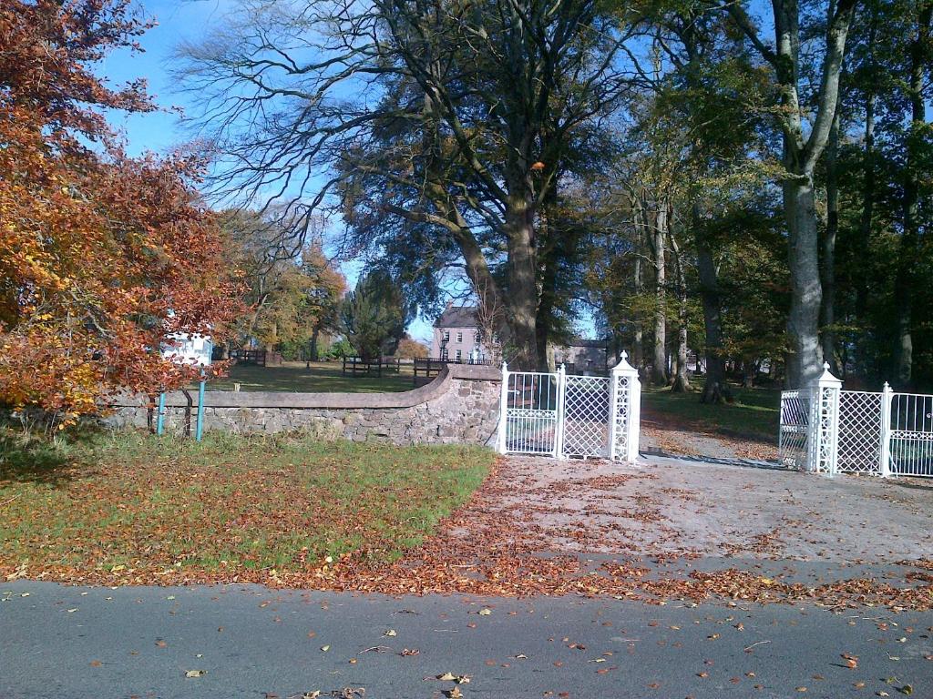 Tassagh邓德拉姆旅馆的公园内白色的围栏,地面上有树叶