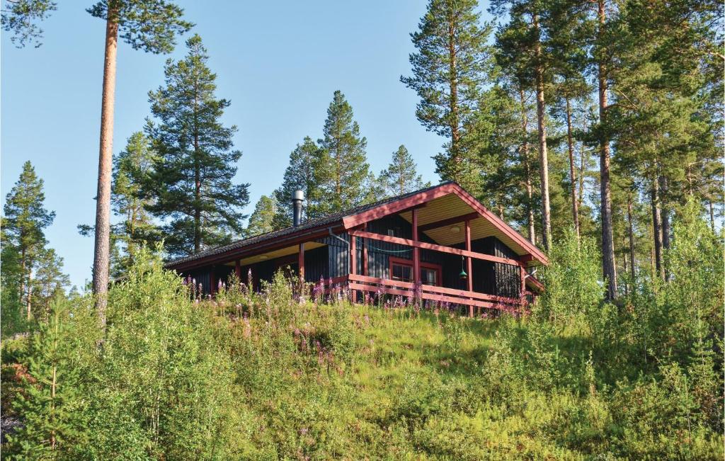 洛夫斯达伦Awesome Home In Lofsdalen With Kitchen的树林中的小屋