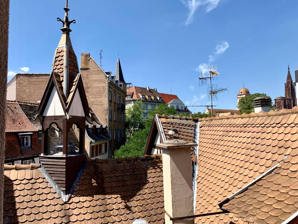 斯特拉斯堡Les Appartements du Renard的享有城镇屋顶和教堂的景色