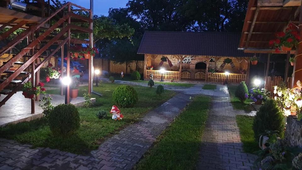 克尔茨什瓦拉乡Casa Floare de Colt的夜晚带灯光的别墅花园