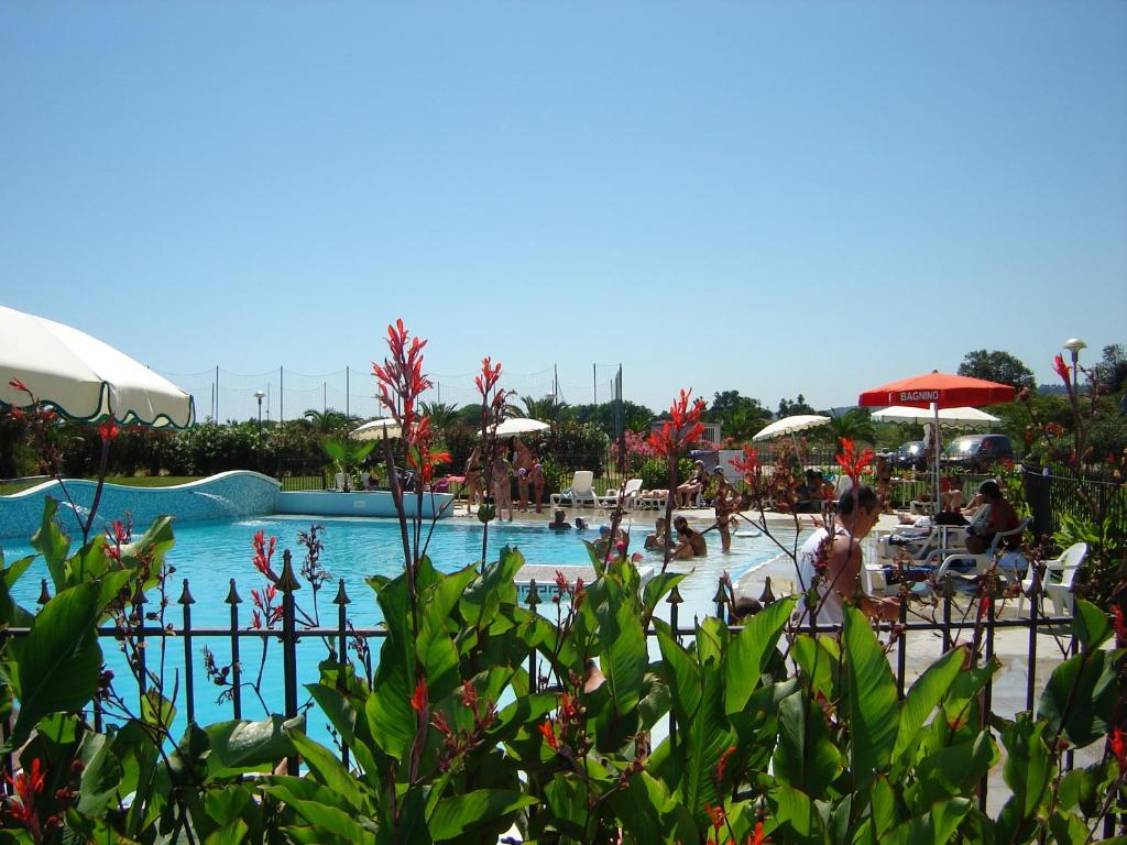锡尔维玛丽娜埃琳娜俱乐部度假酒店的一座大型游泳池,里面的人都沉浸在水中
