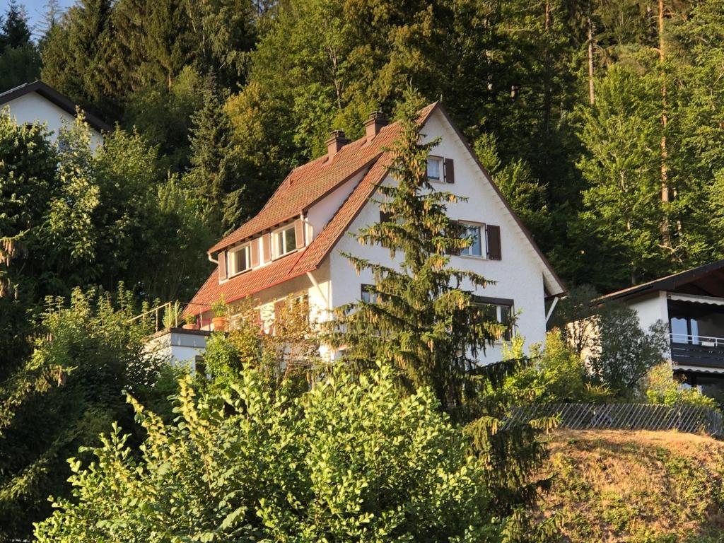 特里贝格Ferienhaus Kroneck的一座树木繁茂的山丘上的白色房子
