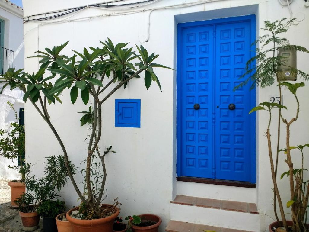 弗里希利亚纳CASA PURICA的白色建筑中一扇蓝色门,上面有植物