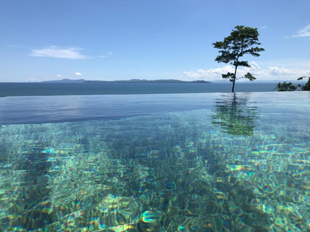 Los Duarte卡米诺太阳住宿加早餐旅馆的水中一棵树