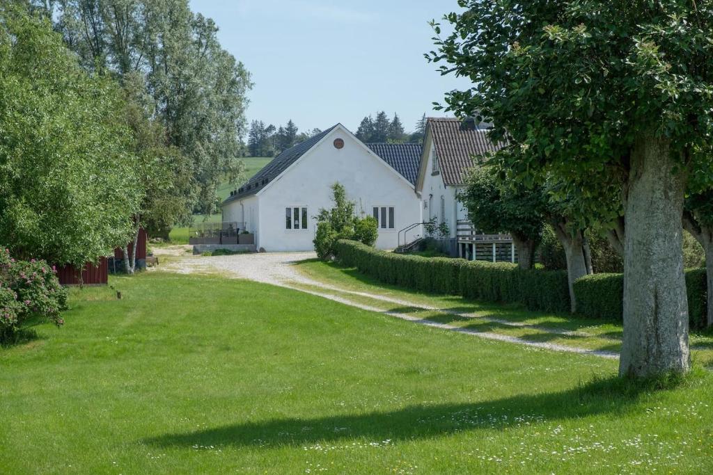 克内贝尔Molshøjgård的院子里有树的白色房子