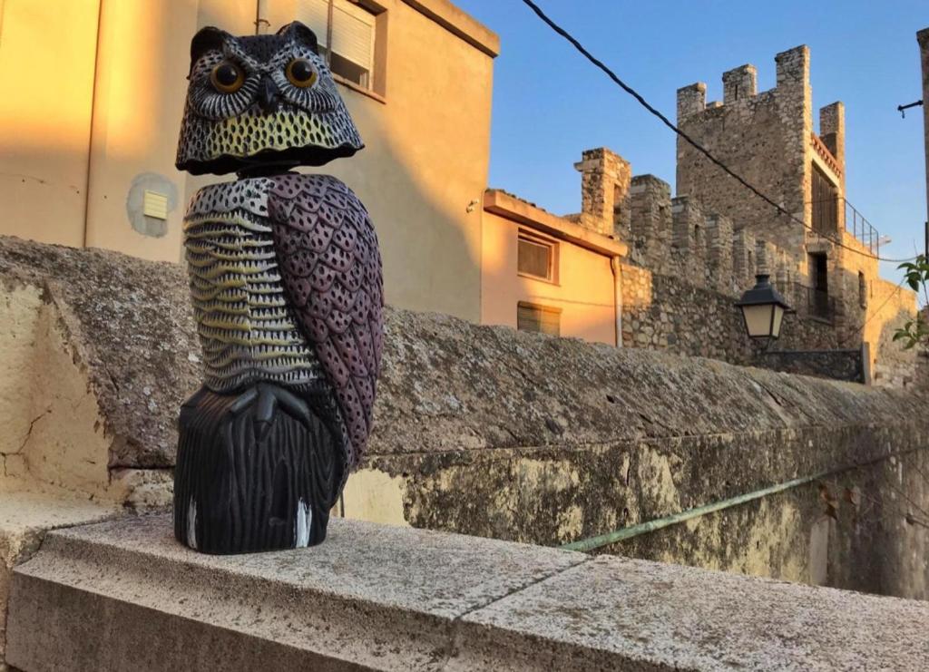 勃朗峰Cal Pere de L'Onclet的墙上的猫头鹰雕像
