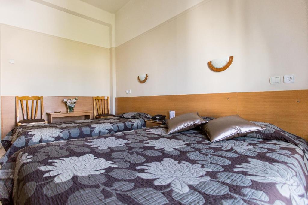 科扎尼阿尼西斯酒店的一间卧室设有两张床和木制床头板