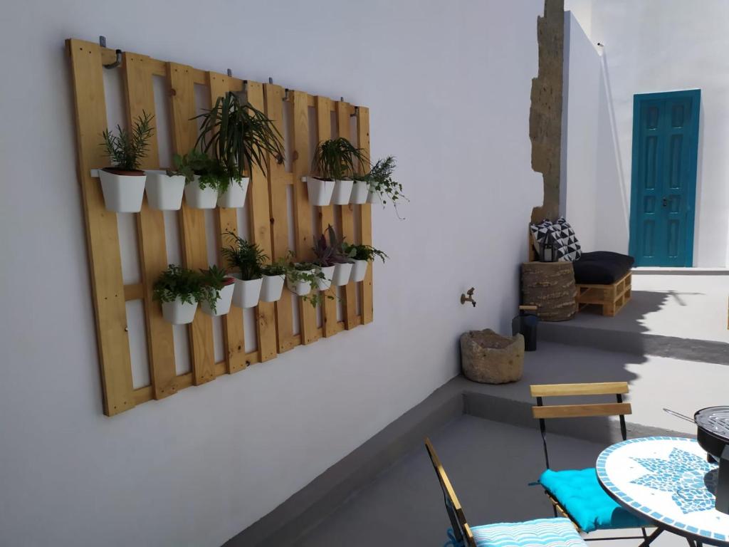 阿古伊梅斯La Casita de Ainhoa的墙上挂着盆栽植物的房间