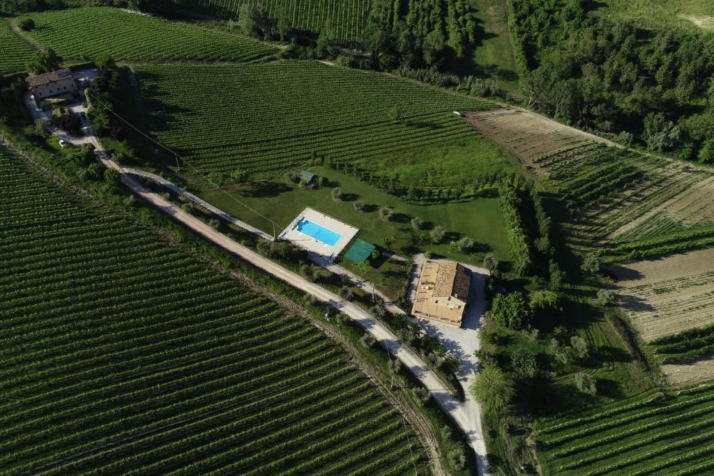 OrtezzanoAgriturismo Biologico la Casa degli Gnomi的穿越葡萄园的火车空中景观