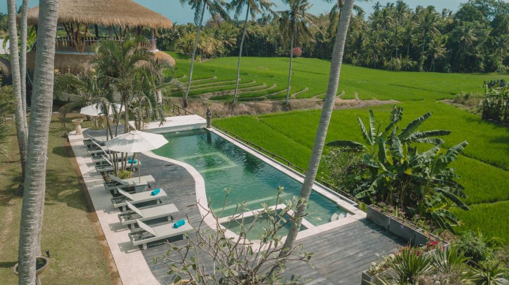 海神庙Coco Verde Bali Resort的享有度假村游泳池的空中景致